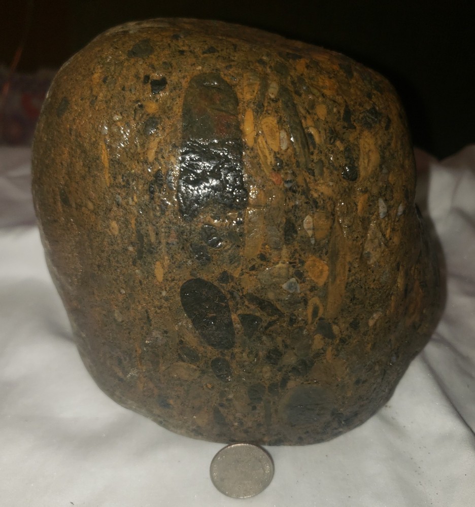 Conglomerate boulder from California