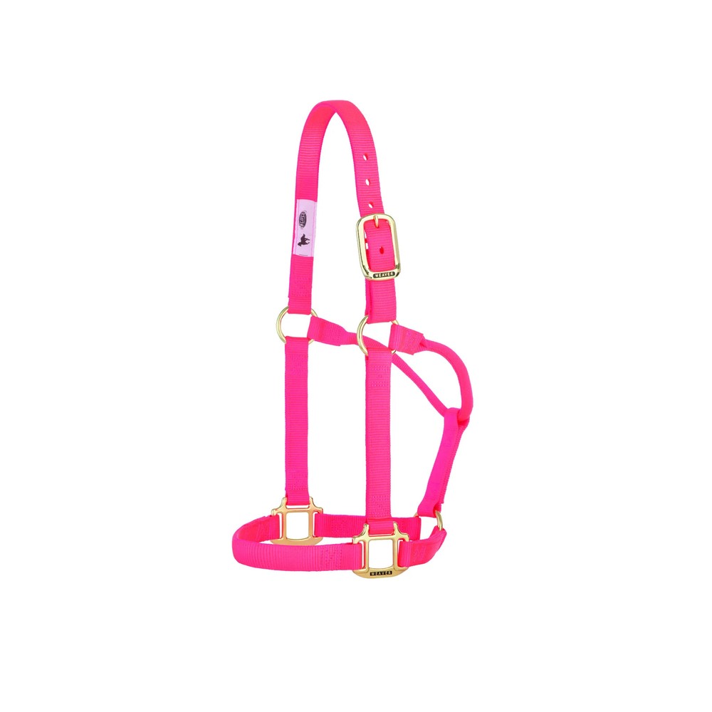 Weaver Leather Triple-Ply Nylon Halter with Solid Brass Hardware