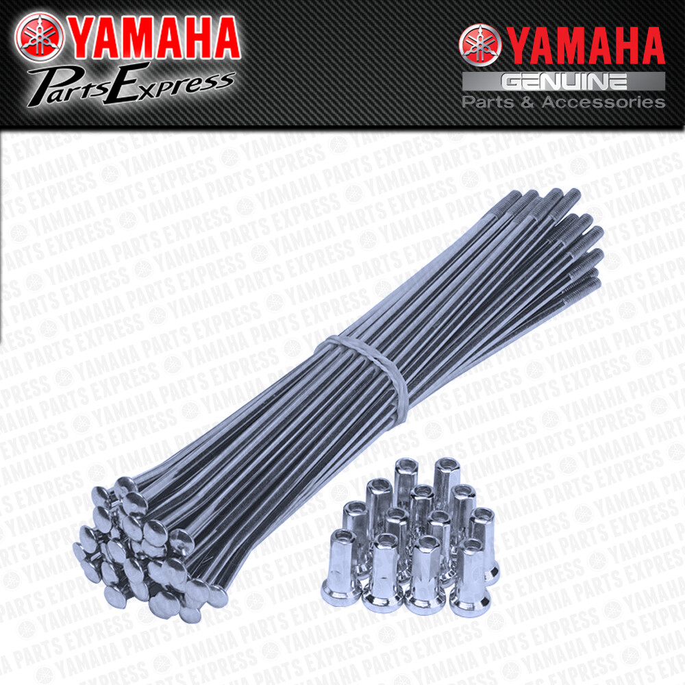 2005 - 2024 YAMAHA TTR230 TT-R 230 OEM COMPLETE REAR WHEEL SPOKE & NIPPLE SET