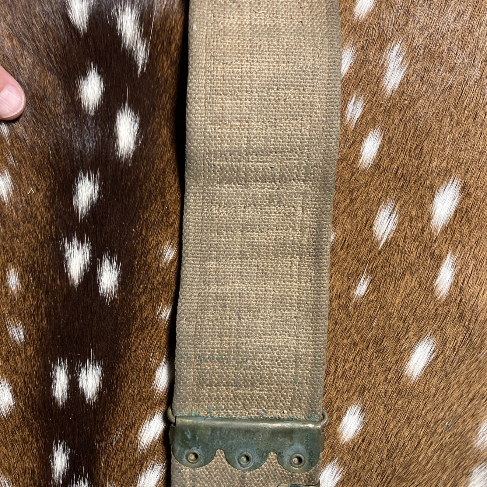 SPANISH AMERICAN WAR U.S. KRAG AMMO CANVAS BELT 45 SLOTS 30-40 Krag ?