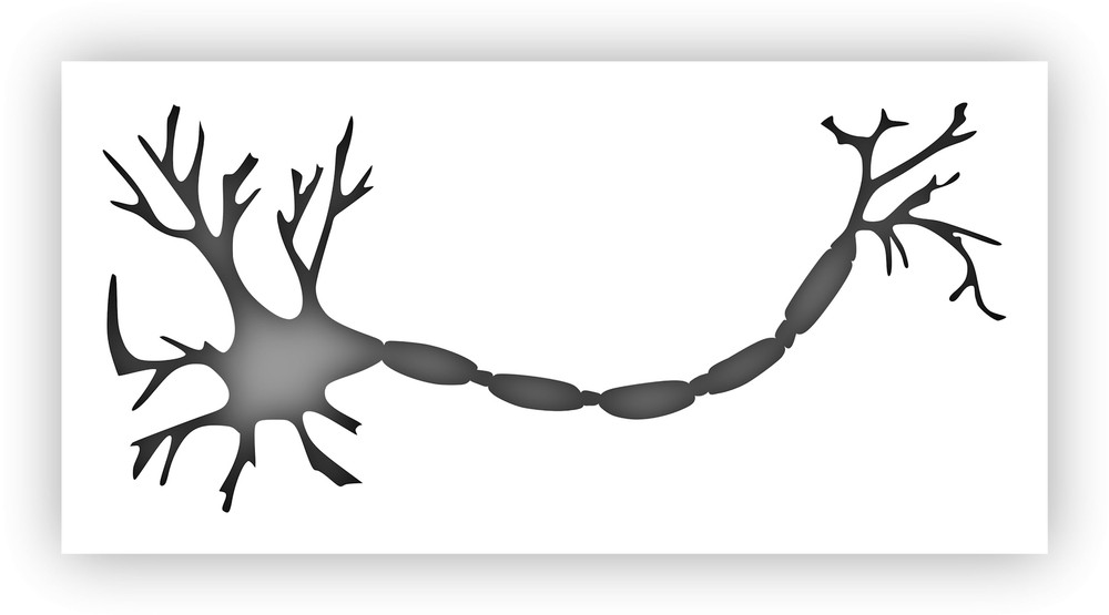 Neuron Brain Cell Stencil - Choose a Size - Laser-Cut Reusable Plastic