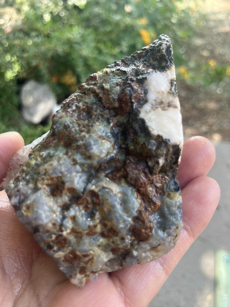 Laguna Agate Specimen (Rough)