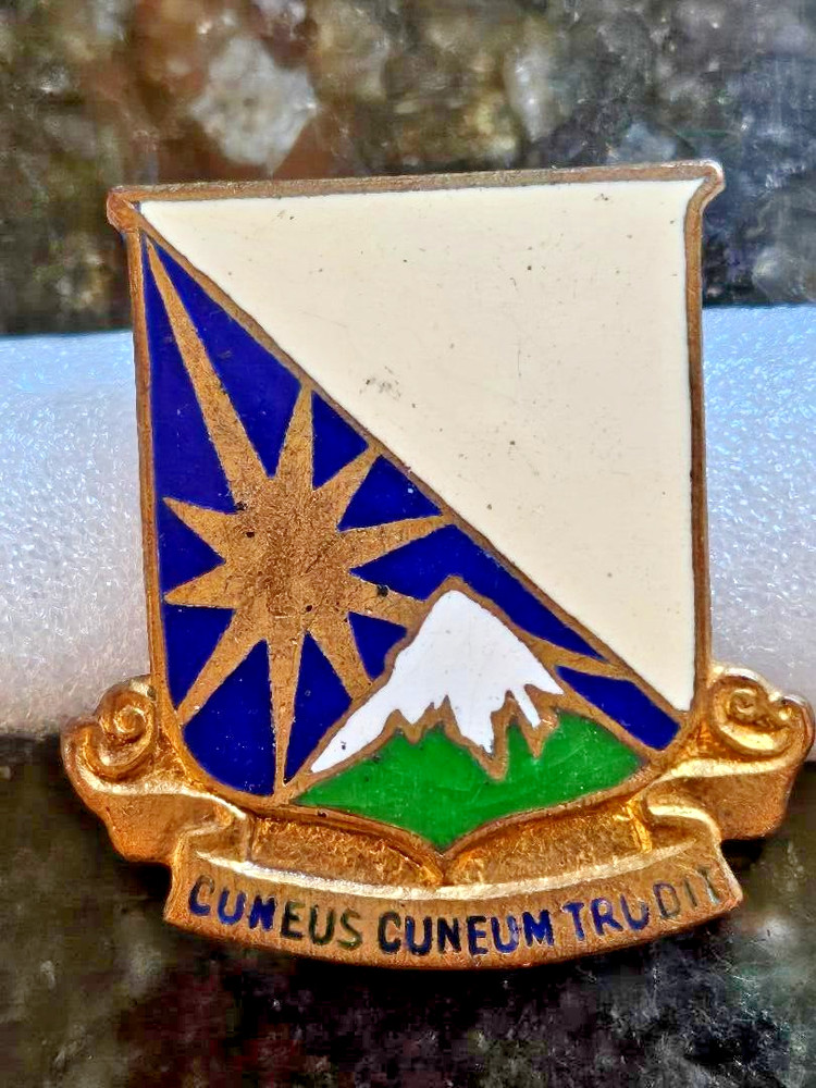 US Army 129th Support Battalion DUI