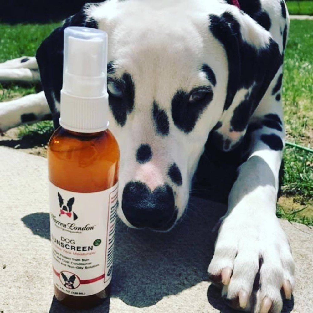 Dog Sunscreen With Aloe Vera Moisturizer