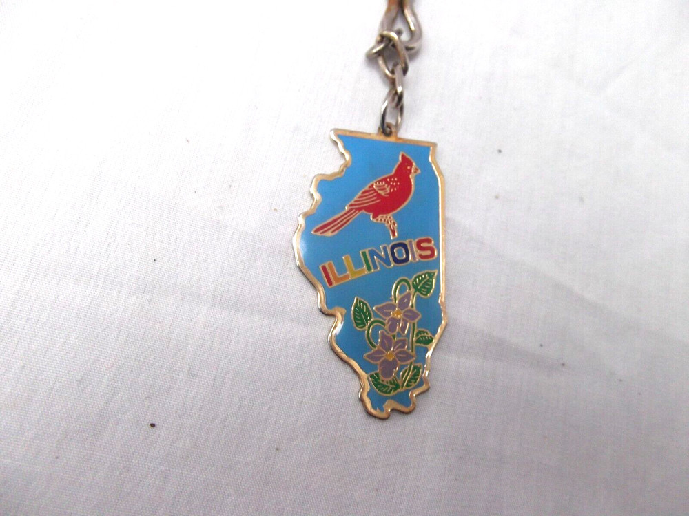 Illinois State Shaped Map Key chain ring Coated Metal Souvenir Cardinal Violet