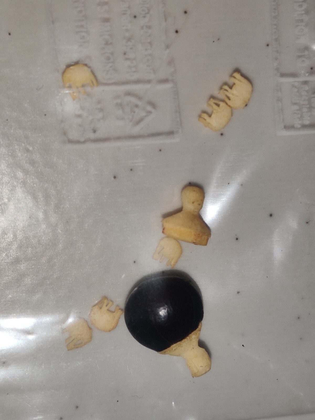 Rare Lucky Elephant Seed Bean 6 Tiny Carved Elephants Inside 1970's Vintage