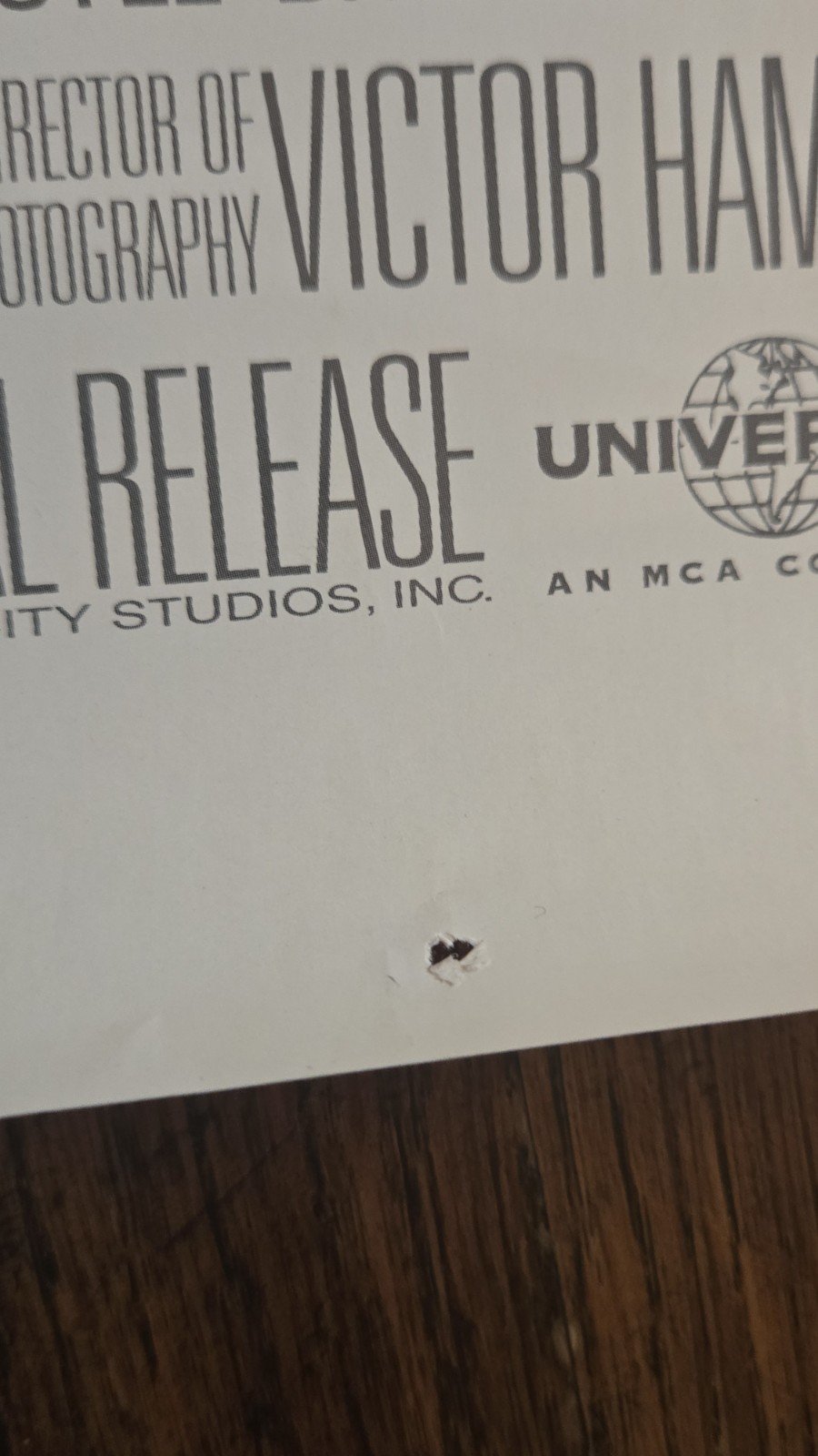 Billy Madison (1995) Original US Theatrical Movie Poster - D/S - 27x40"