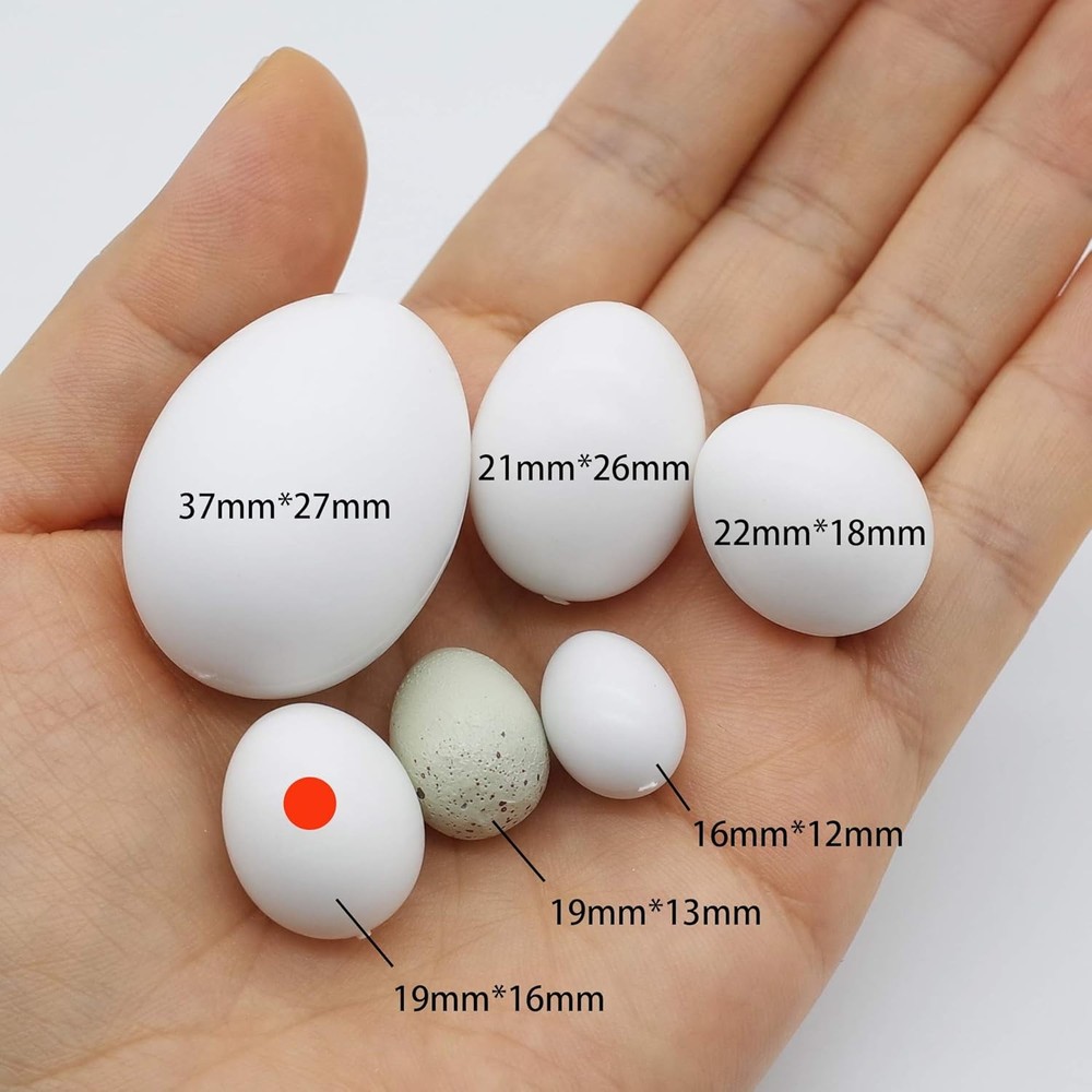 FOIBURELY 8 Pcs Solid Parrot Plastic Eggs Hatching Eggs Parrotlet，Budgie Parak