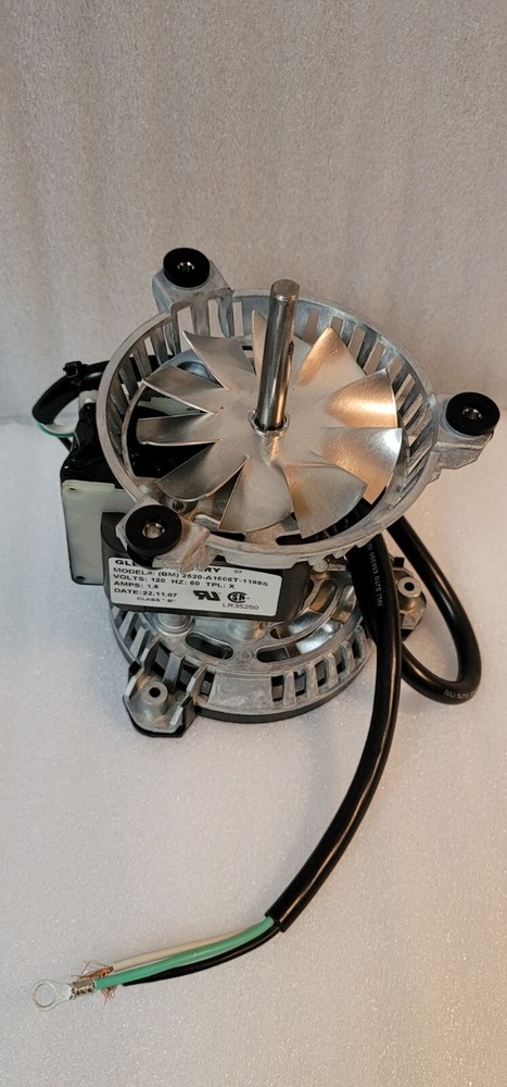 P-0201MF Combustion Motor