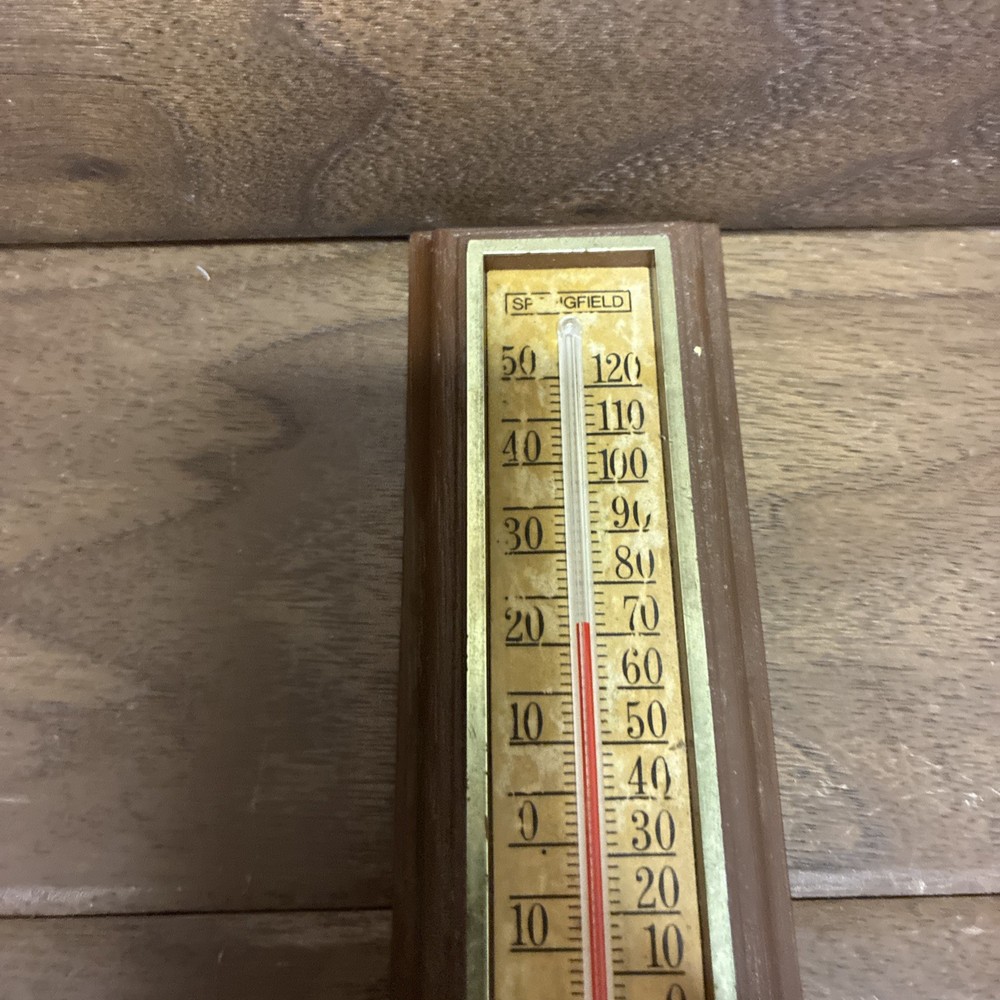 Springfield Instrument - Thermometer with Humidity Indicator