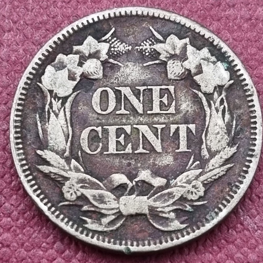 1857 Flying Eagle Cent 1c Better Grade Environmental Damage #55275