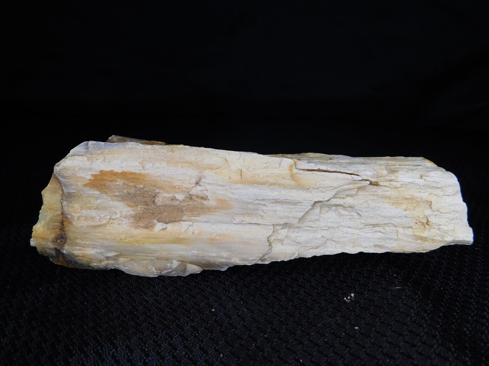 Opalized Petrified Wood Stick 1lb.