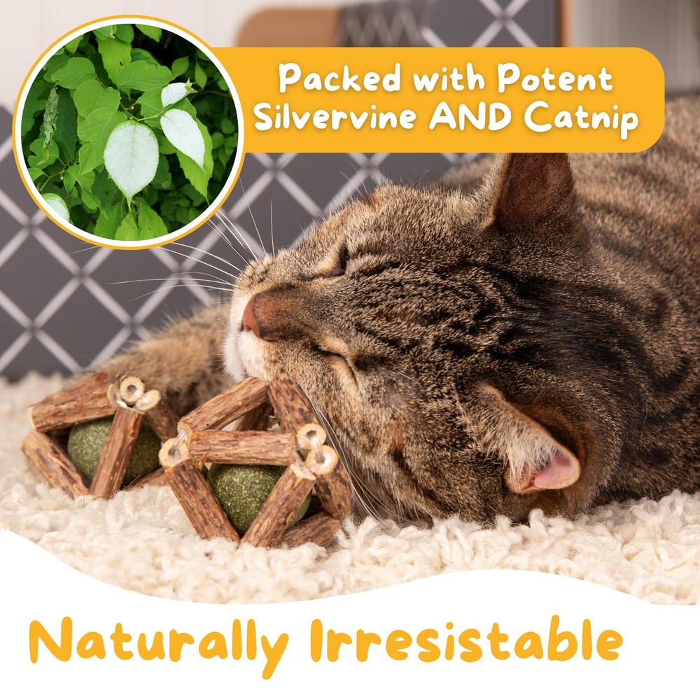 Hide & Scratch Premium Silvervine Catnip Balls (3 Pack) - Three Pack, Silver