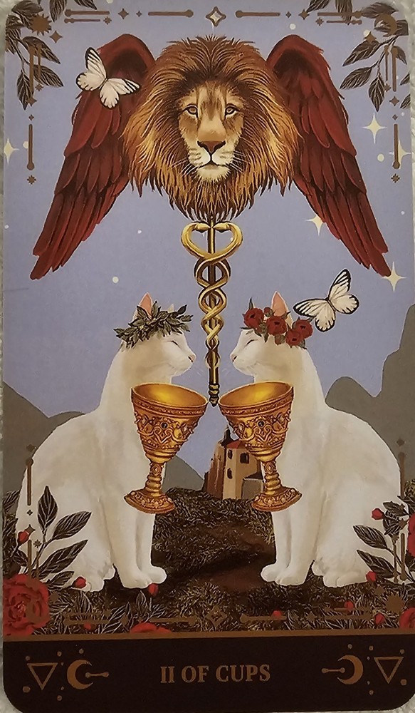 Muse Cat Tarot Deck