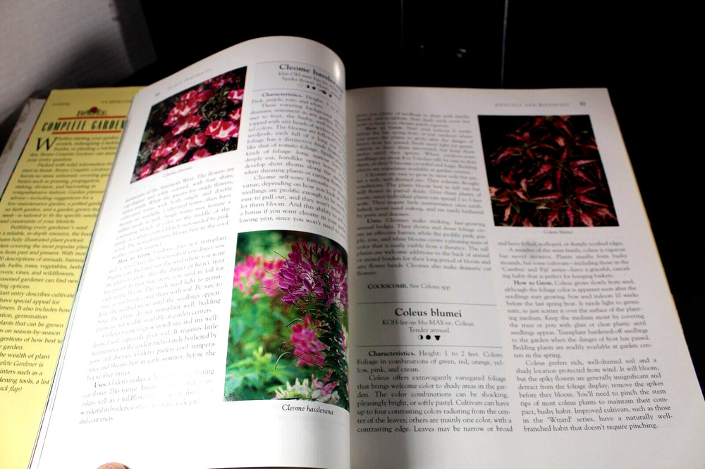 Burpee 3D Garden Designer & Encyclopedia CD-ROM for Windows - Windows 95