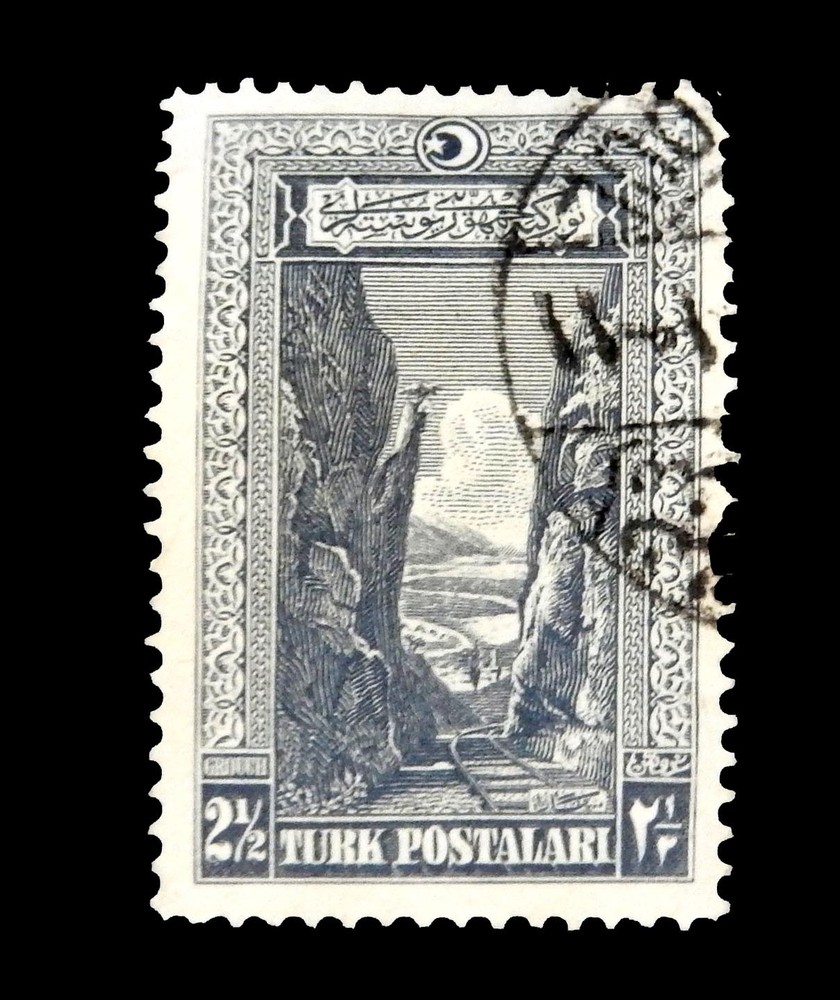 1926 Turkey STAMP  / Arabic and Latin Script   Gray