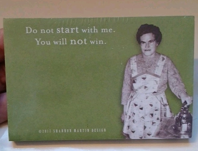 Sassy Sarcastic Funny Classy Notepad Notebook Sticky Notes Gift Set Stationary