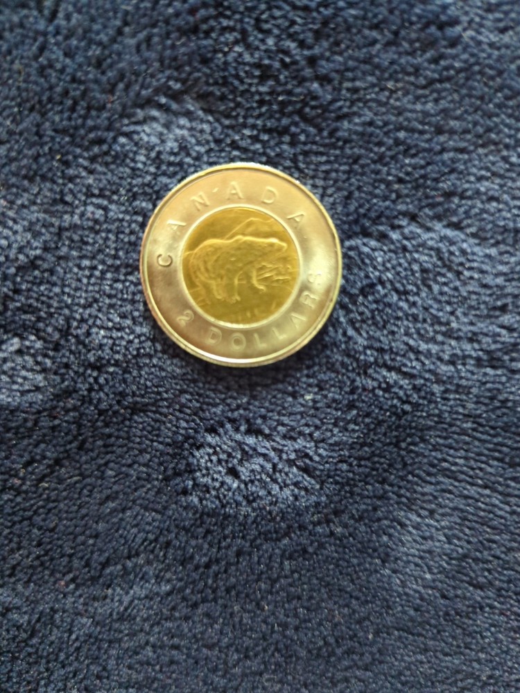 1996 canadian 2 dollar coin