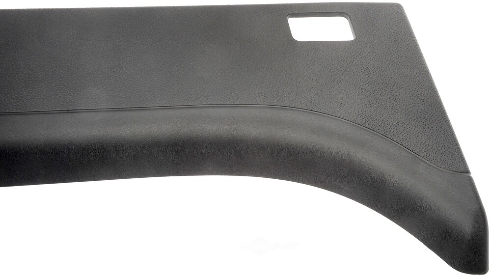 Body Molding Dorman (OE Solutions) 926-913