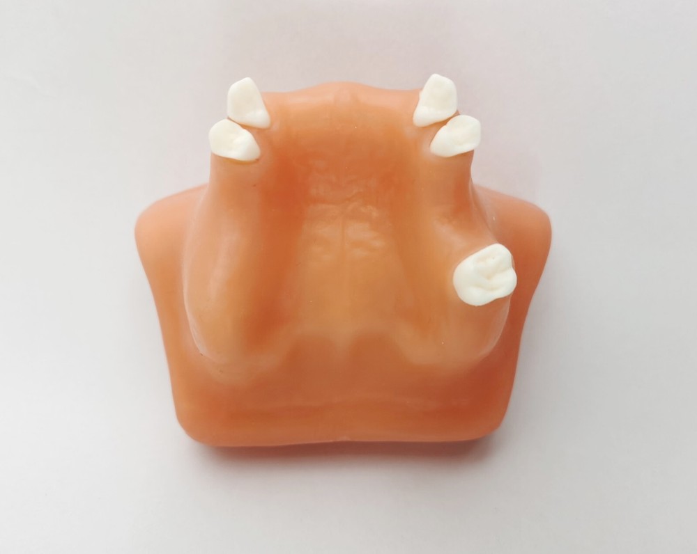 Dental Maxillary Sinus Lift Model Typodont Practice Model Show