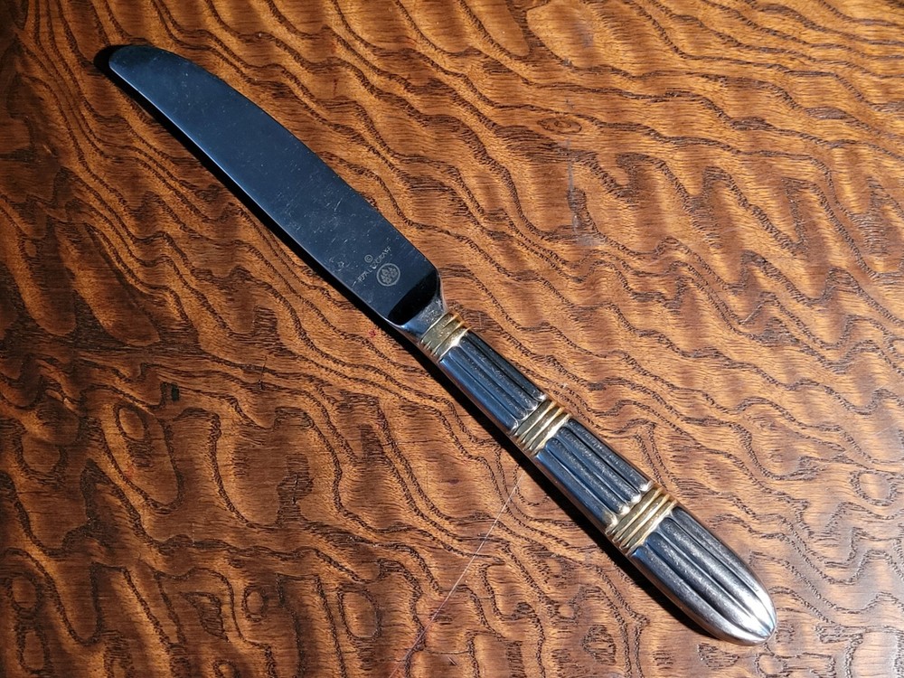 GOLDEN STRATA ~ PFALTZGRAFF ~ Stainless Dinner Knife