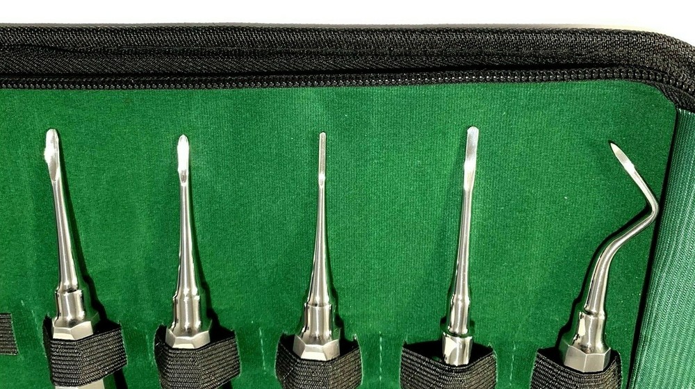 10Pcs Straight CVD Non-Magnet Handle French Points Elevators – Surgical Tools