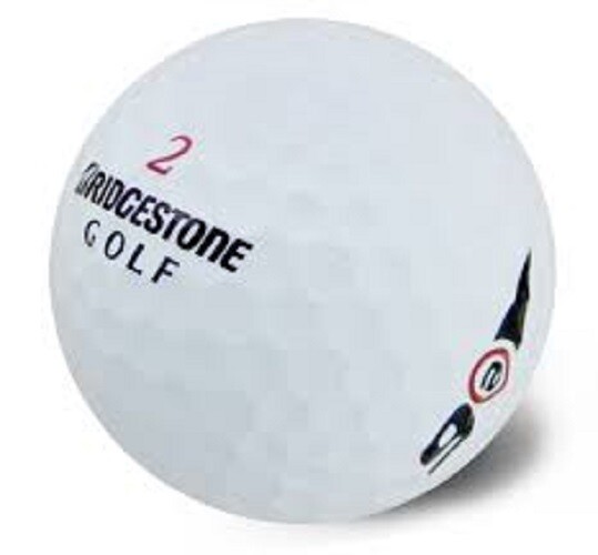 Bridgestone e6 Mint AAAAA 12 Used Golf Balls 5A