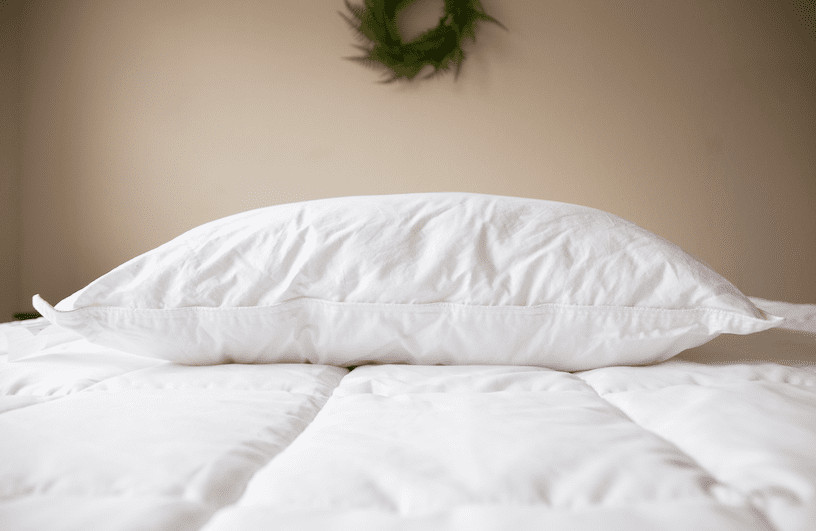 Pillowtex Conformance Medium Support Pillow