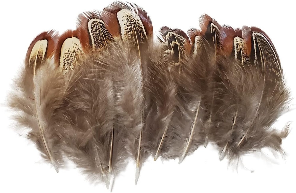 Eco-Friendly 50 Pcs Natural Pheasant Feathers - Ideal for Decorative Projects
