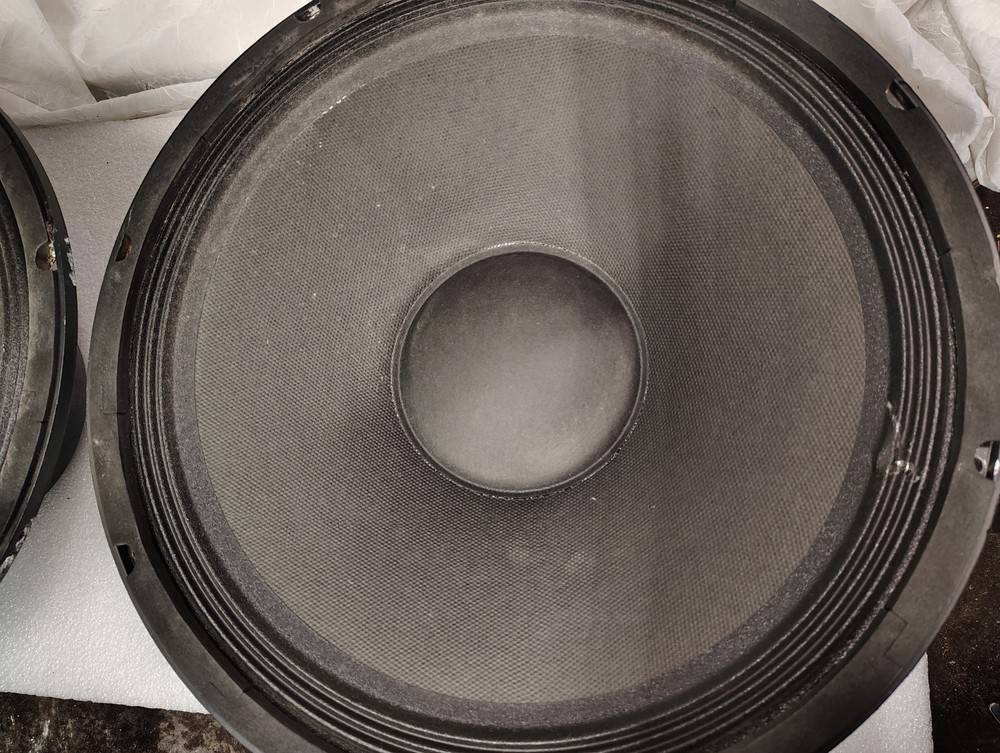 EAP-15D speaker woofers, one pair