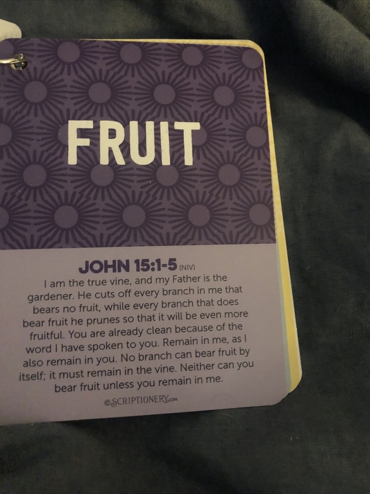 Scriptionery - Go forth Scripture Truths 20 Bible Verses Cards on a ring