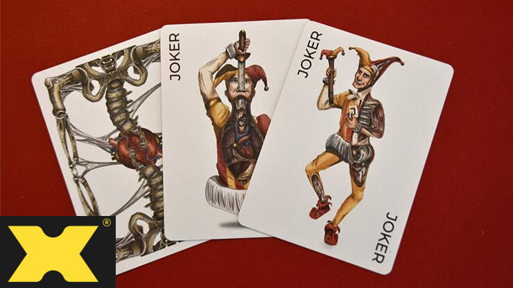 Anatomica Anatomical Playing Cards by Curio