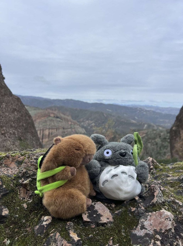 Capybara Chalk Bag