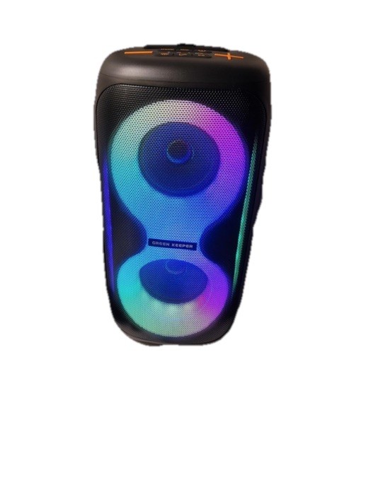 Large Portable Bluetooth Karaoke Machine (Speaker) All Ages- 2 Wireless Mic