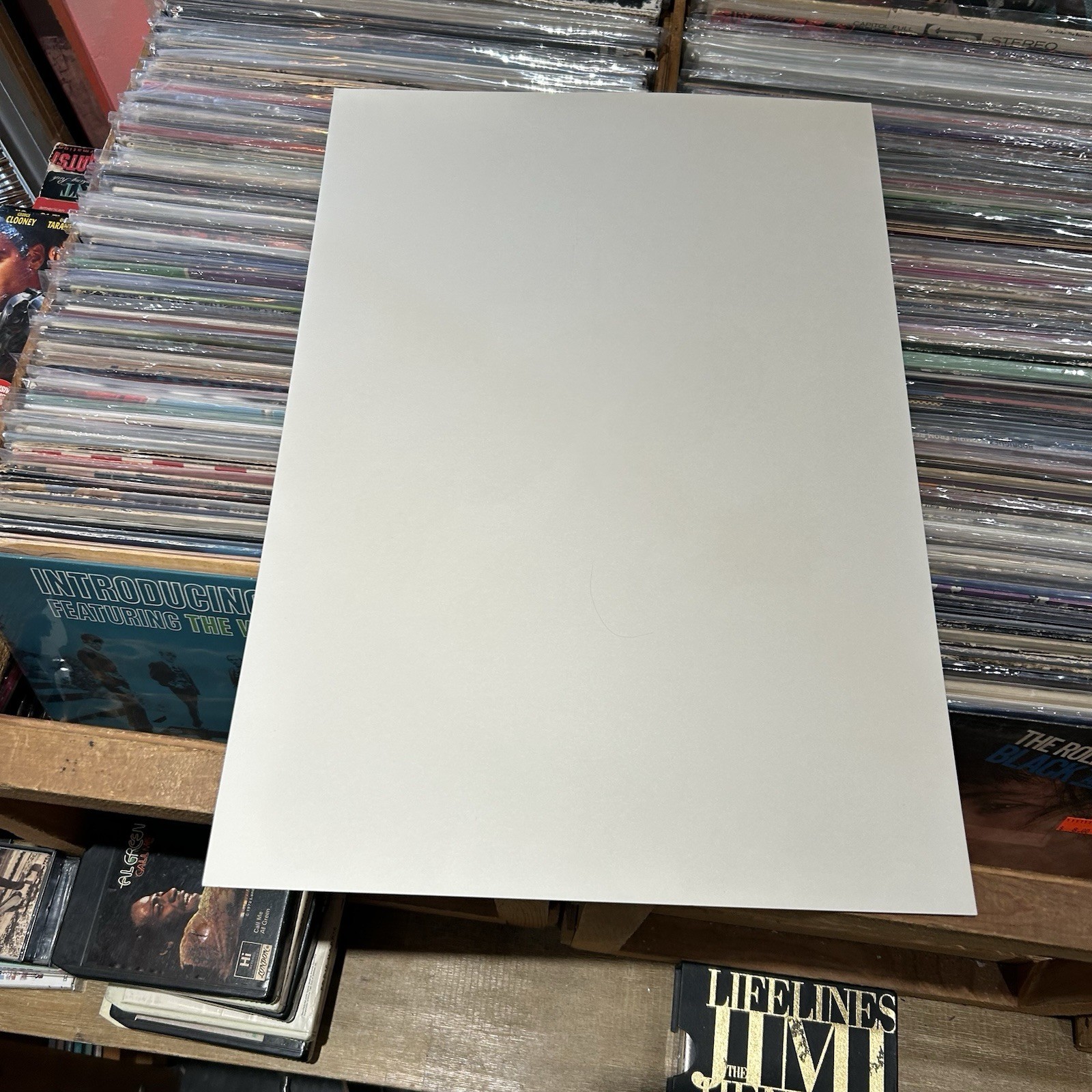 PERCY SLEDGE COLD BLOOD 1996 FAMILY DOG POSTER 13x19” Moscoso RW-B1 VP