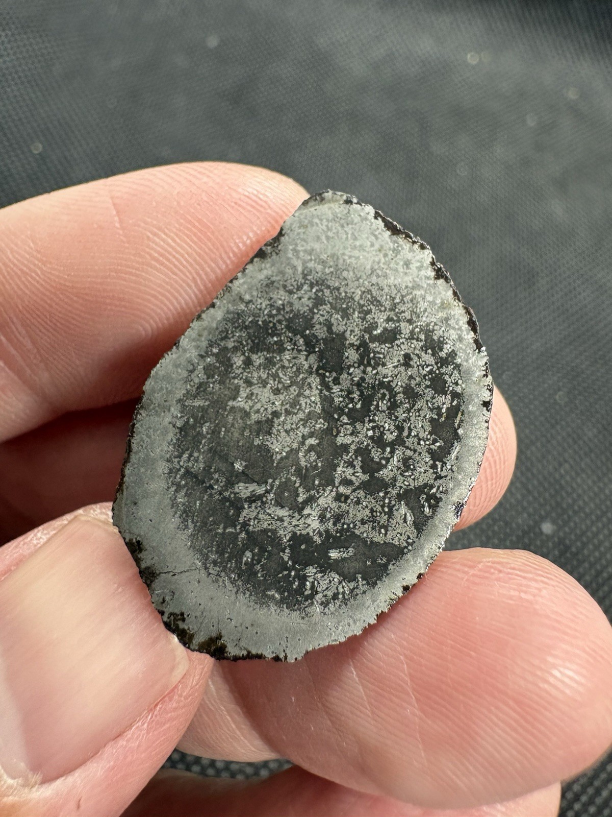 8.0g NWA 17095 IAB-sLH iron meteorite full slice- rare subtype weird features!