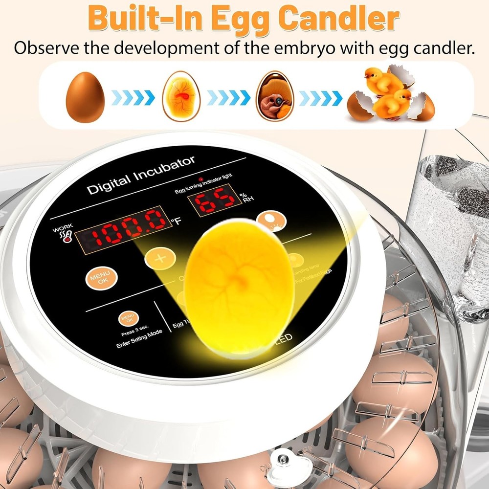 12 Egg Incubator for Hatching Eggs with Automatic Egg Turning, Temperature & ...
