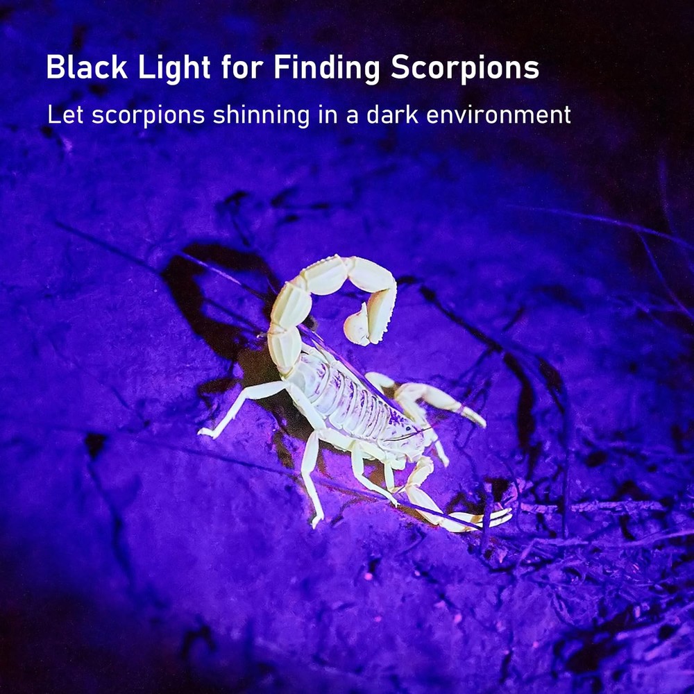 GLOSSDAY Blacklight Flashlight 68 LED UV Flash Light,Ultraviolet 68LED, Black