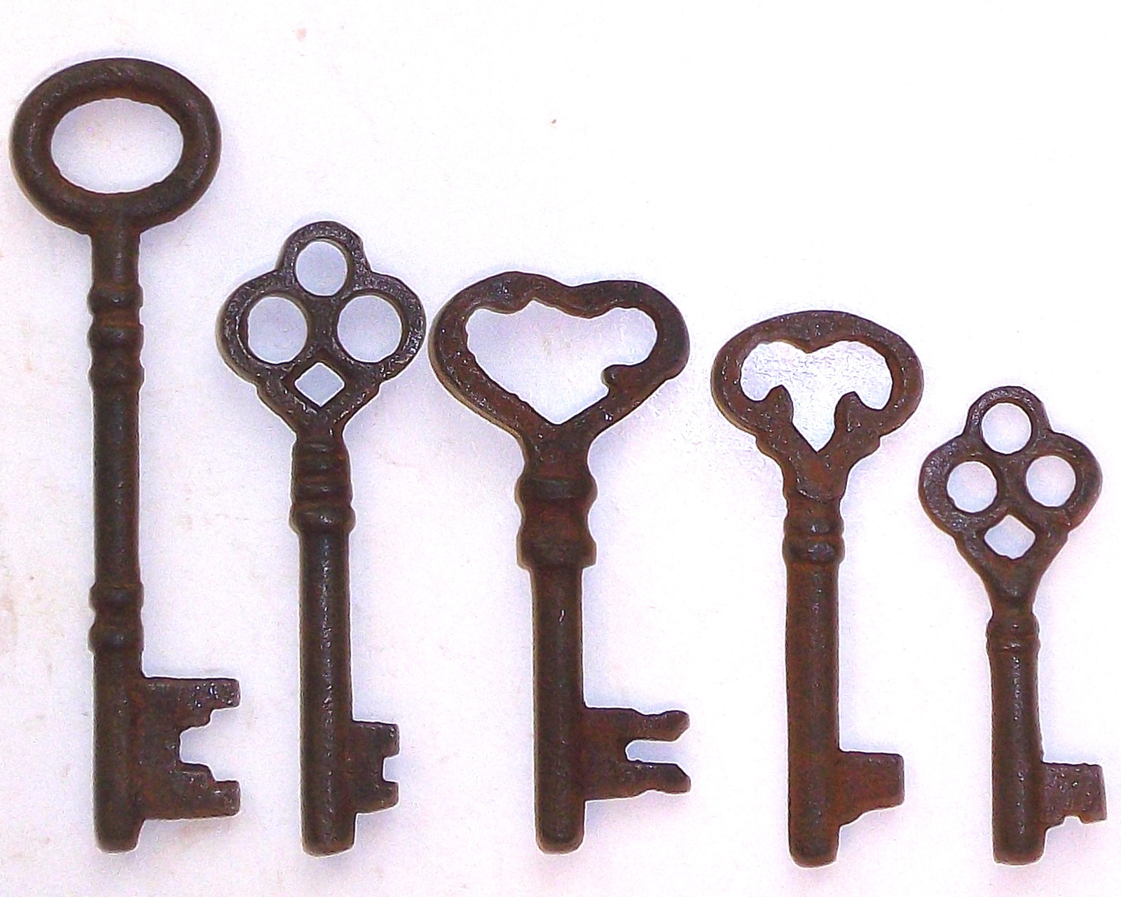 Skeleton Iron Keys Lot of 25 Steampunk
