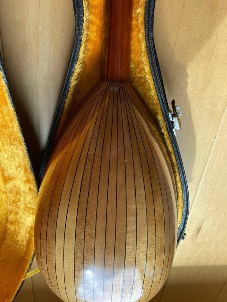 Mandolin 8 string spruce body