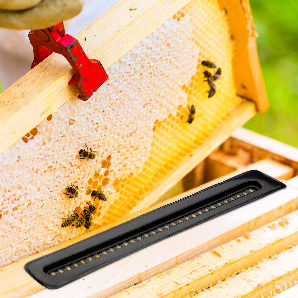 10pcs Plastic Small Bee Hive Beetle Blaster BeeHive Beetle Trap Beekeeping Tools