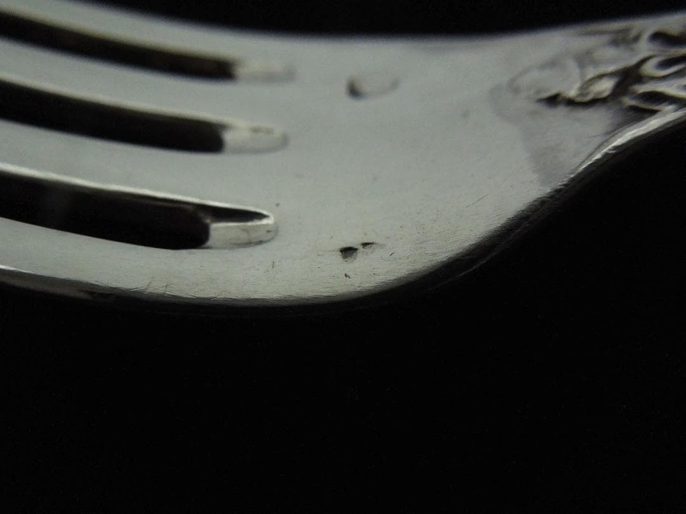 Puyforcat Silver Fork Iris in Pure Silver