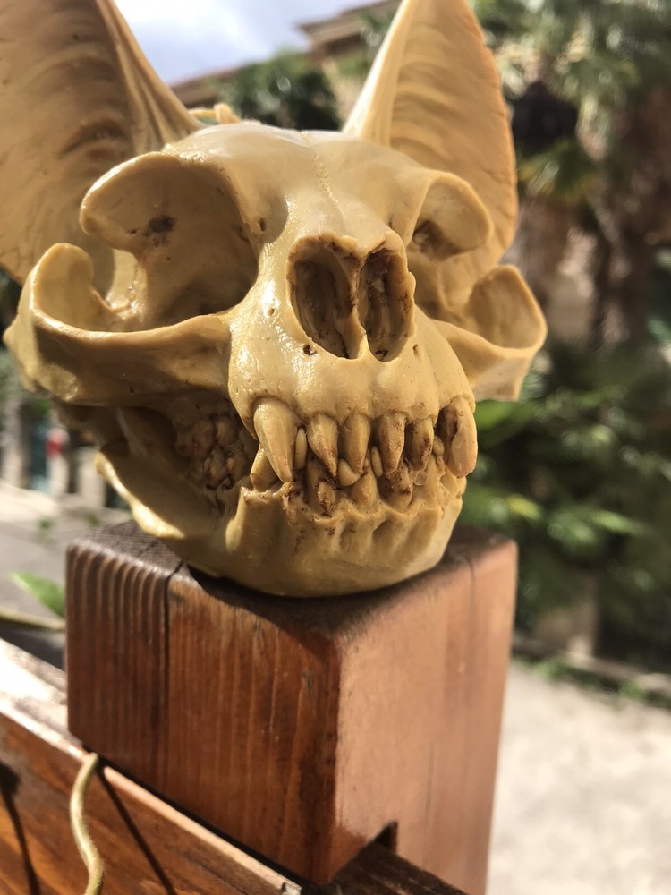 The Silicone Mold “The Cat Skull”
