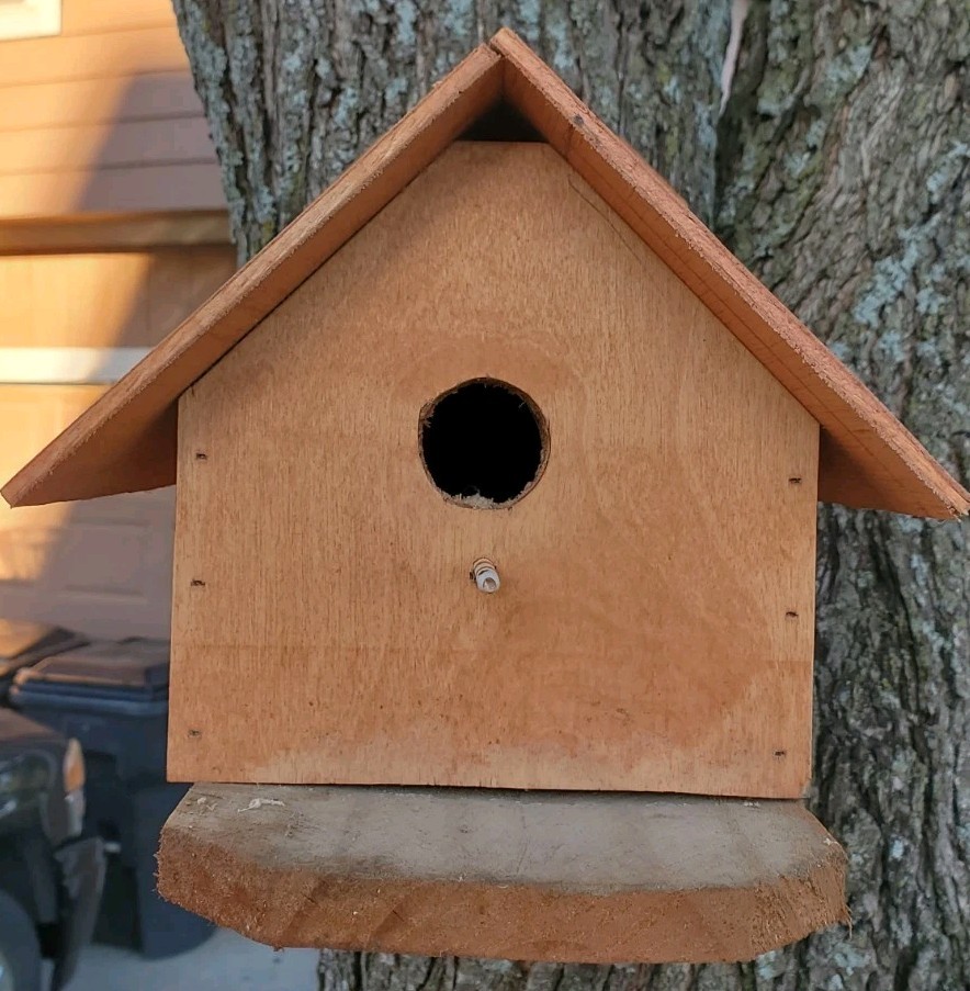 Custome Made Bird Houses