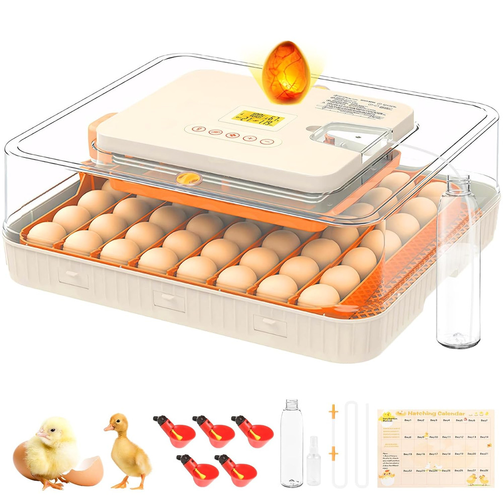 56 Egg Incubator with Auto-Turning, Hatching Temperature & Humidity Control