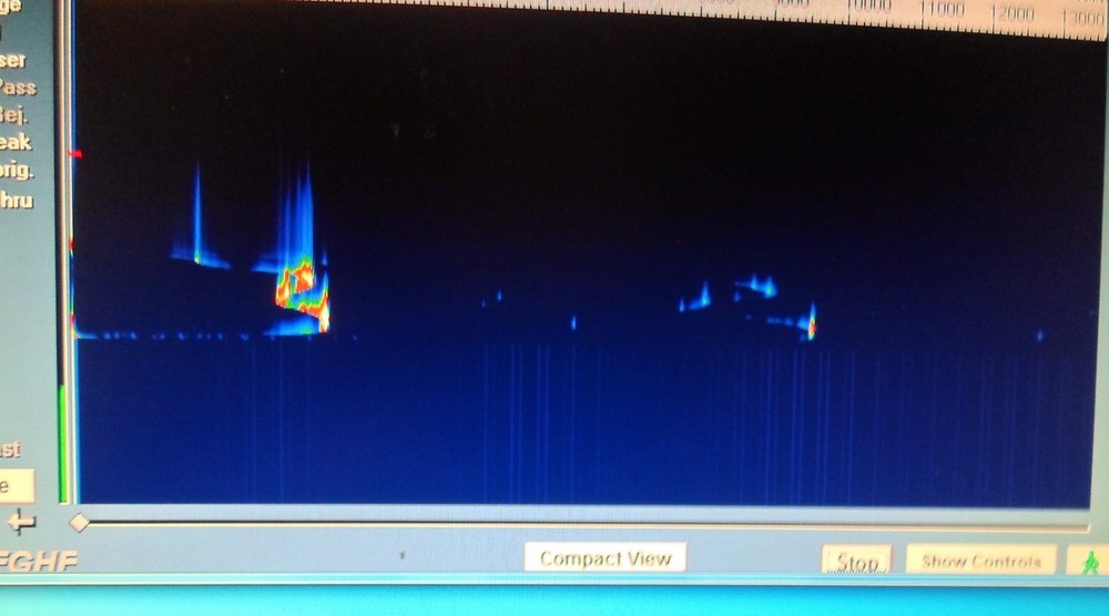 Deep Metal detector D PULSE 3D Visualization Bluetooth