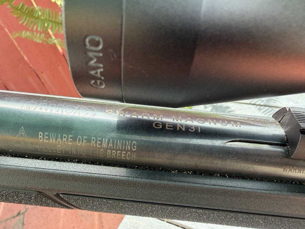 Air Rifle with Scope