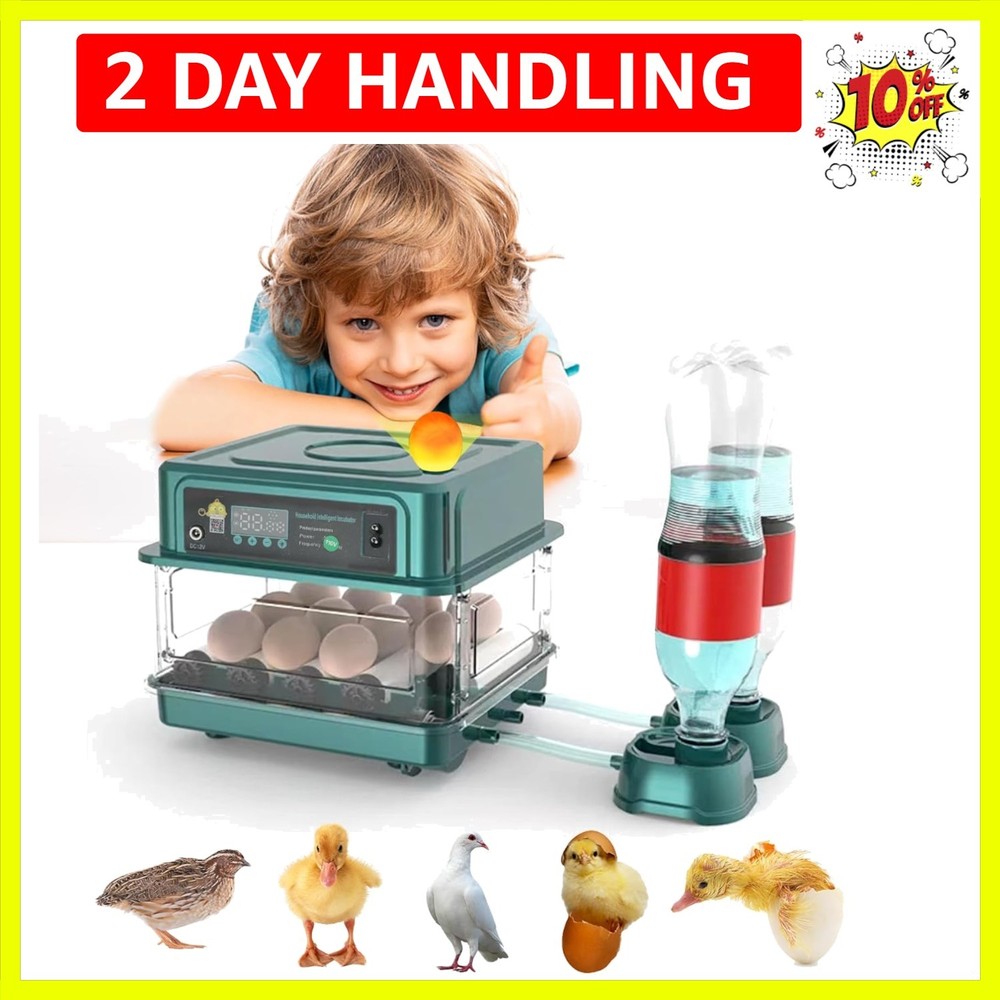 Automatic Egg Incubator 12-38 Eggs Automatic Poultry Intelligent Incubator fo...