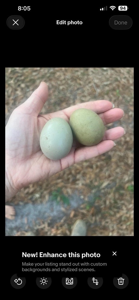 Real Easter Egg Colors!! 12 Eggs **rare Breed**