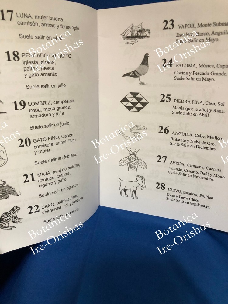 Libro Los 100 números de la Charada